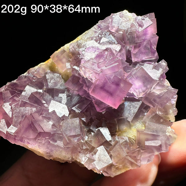 Purple Fluorite Crystal-ToShay.org