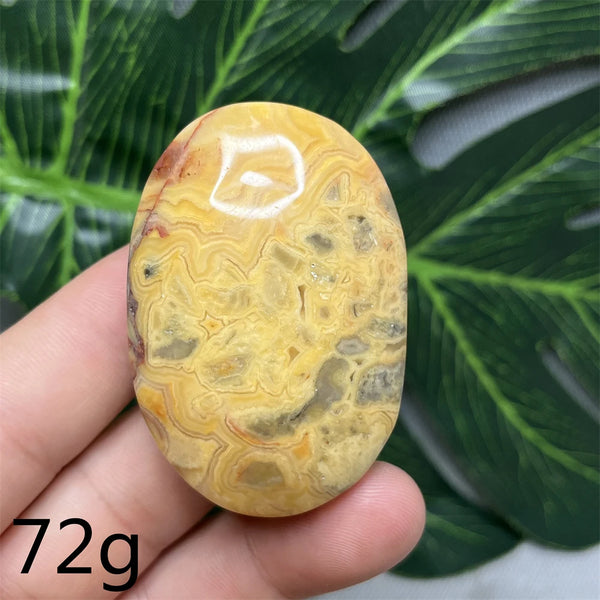 Yellow Crazy Agate Palm Stone-ToShay.org