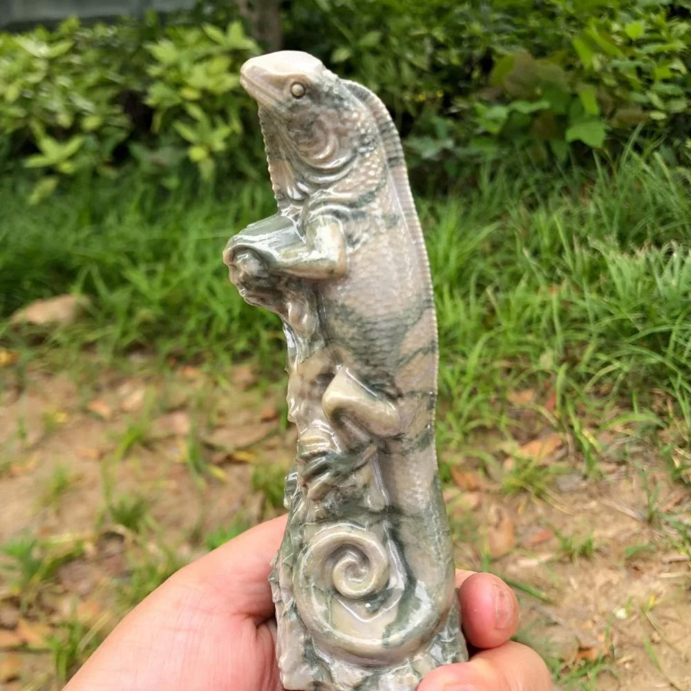 Green Jade Lizard-ToShay.org