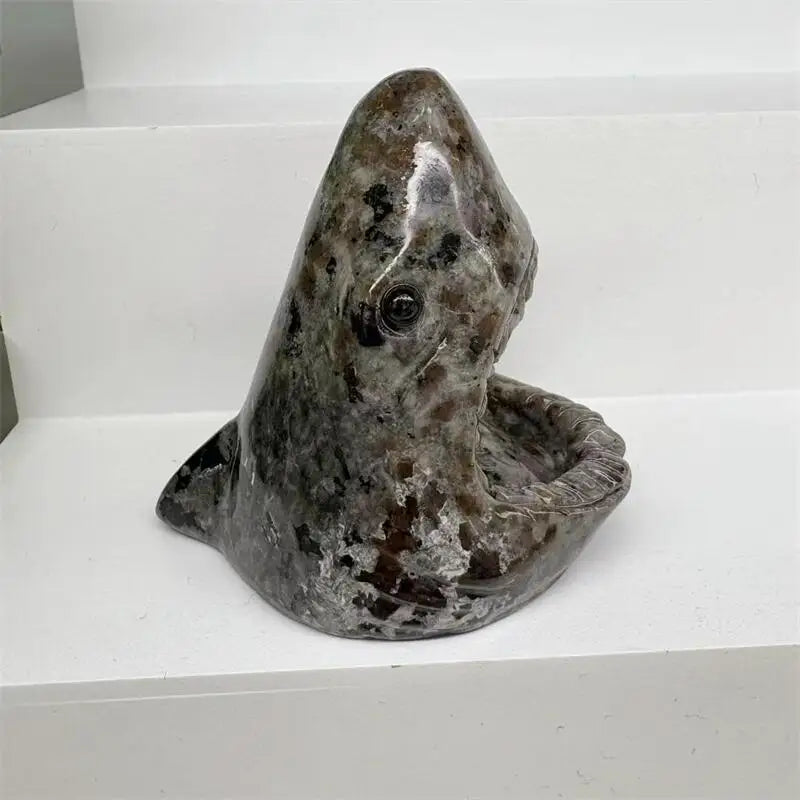 Mixed Crystal Shark Heads-ToShay.org