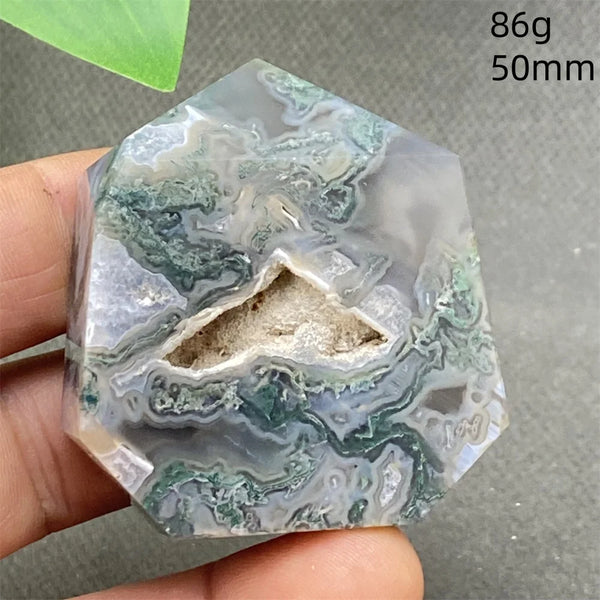 Green Water Plant Agate-ToShay.org