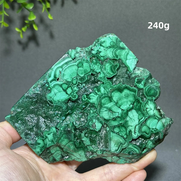 Green Malachite Slice-ToShay.org