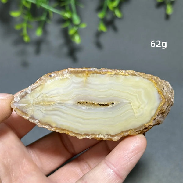 Yellow Agate Slice-ToShay.org