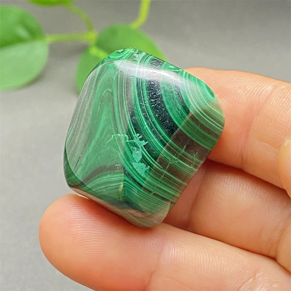 Green Malachite Tumbled Stone-ToShay.org