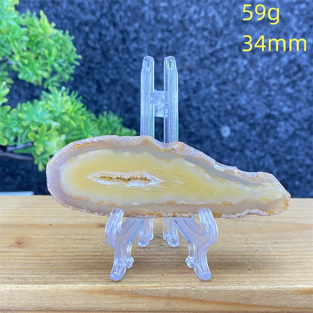 White Agate Geode Slices-ToShay.org