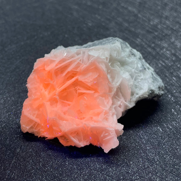 Rose Calcite Crystal Cluster-ToShay.org