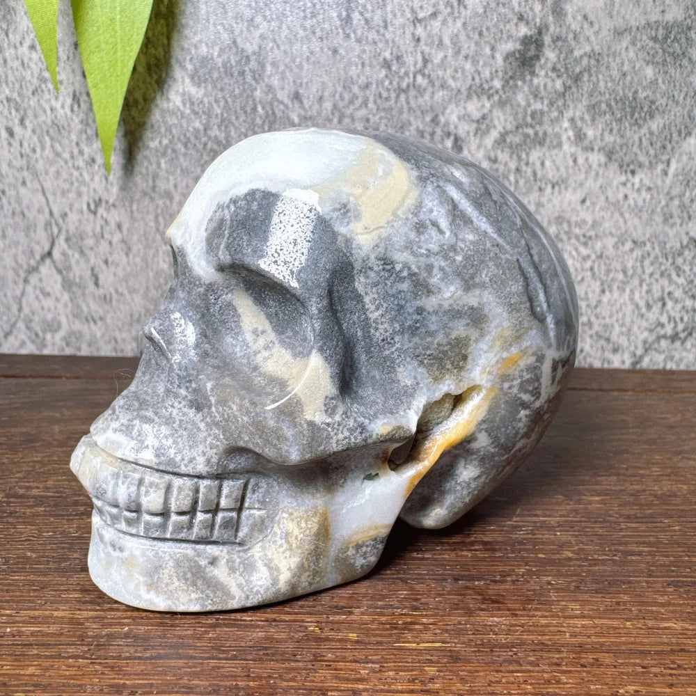 Grey Amzonite Skull-ToShay.org