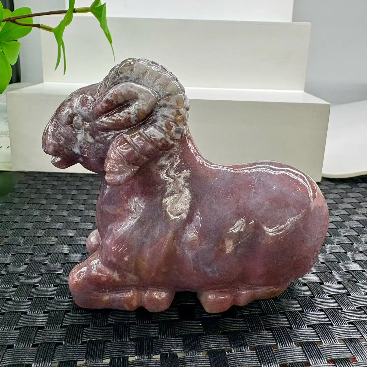 Mixed Agate Ram-ToShay.org