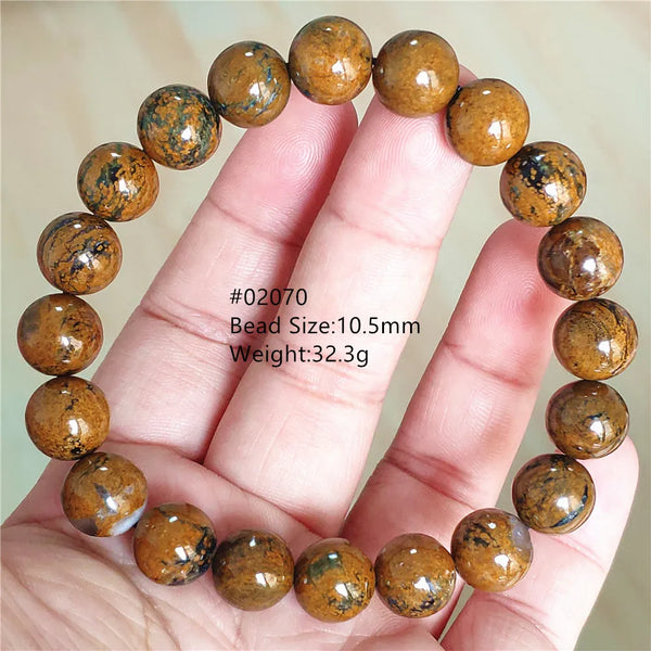 Blue Pietersite Bracelet-ToShay.org