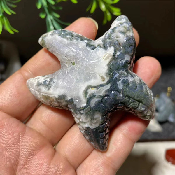 Green Moss Agate Starfish-ToShay.org