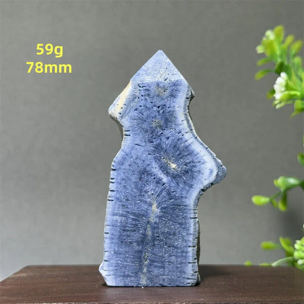 Blue Coral Crystal-ToShay.org