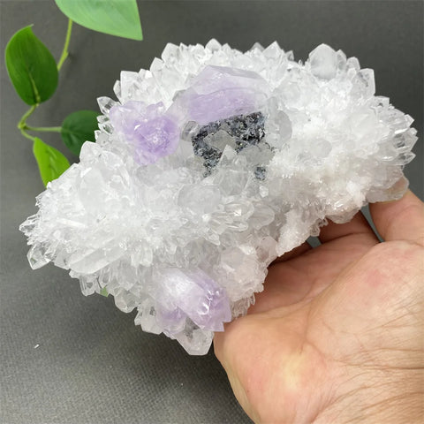 White Crystal Amethyst Quartz-ToShay.org