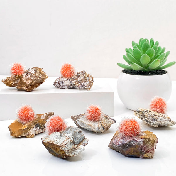Orange Zeolite Mineral Cluster-ToShay.org