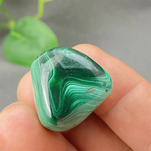 Green Malachite Tumbled Stone-ToShay.org