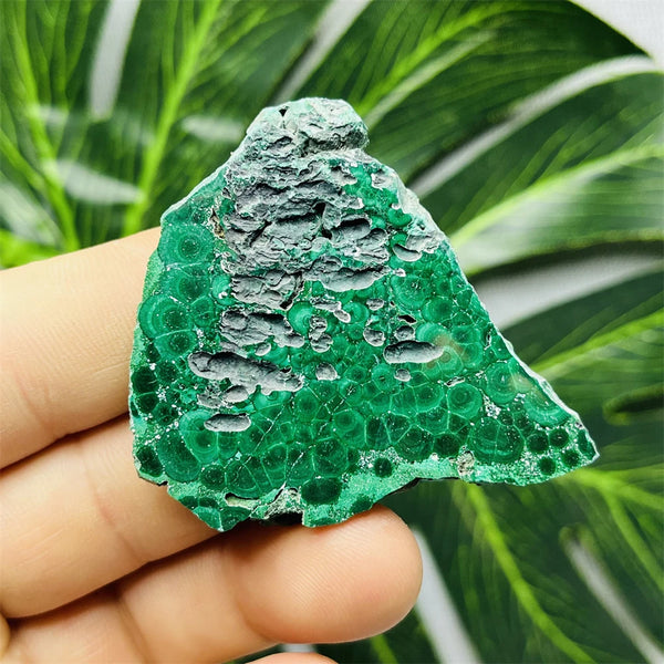 Green Eyes Malachite-ToShay.org