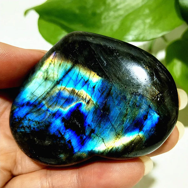 Blue Labrador Stone Heart-ToShay.org