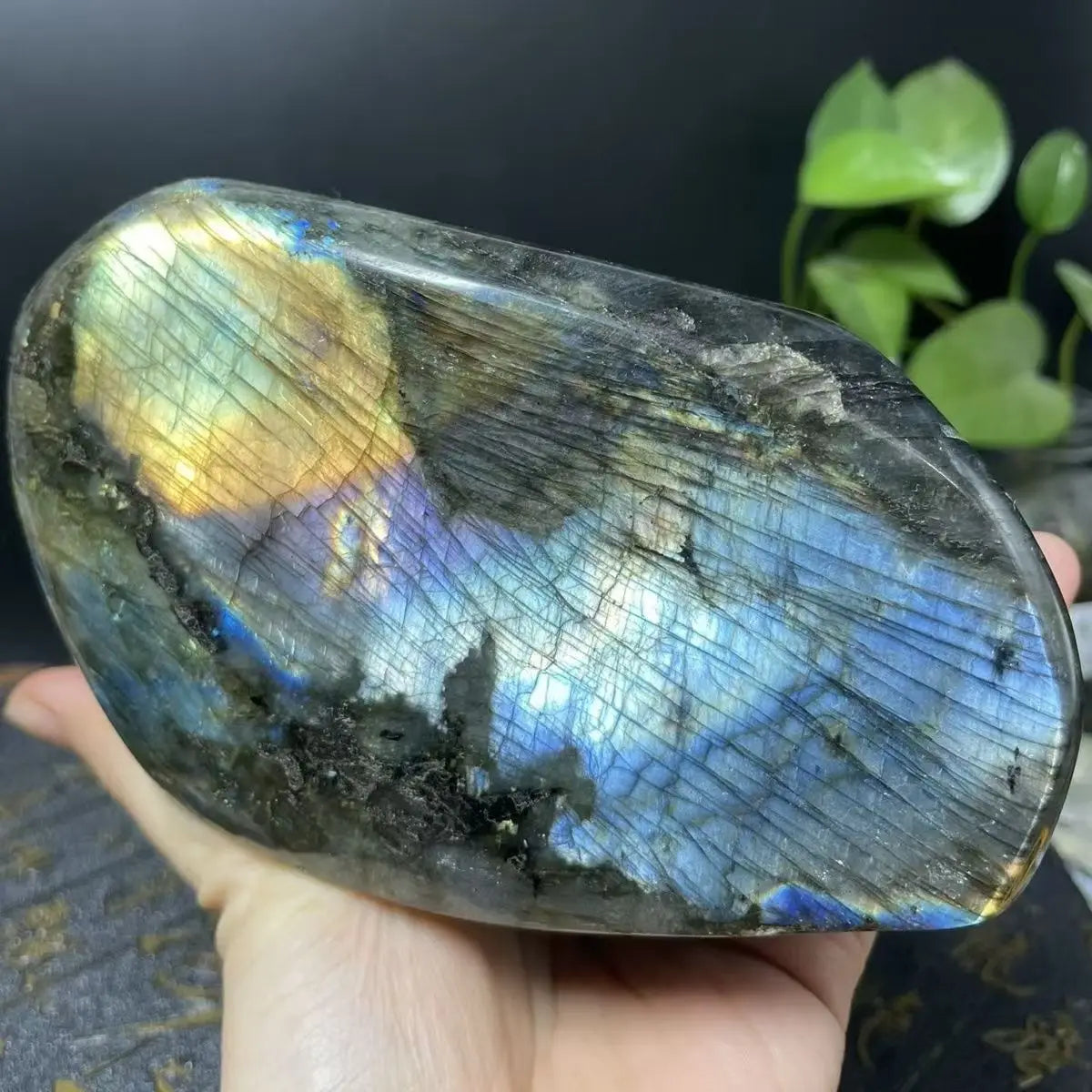 Blue Labradorite Moonstone-ToShay.org