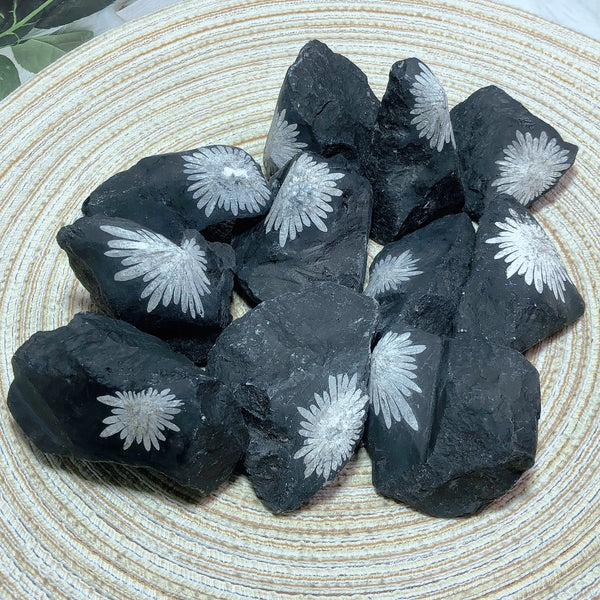 Black Chrysanthemum Raw Stone-ToShay.org