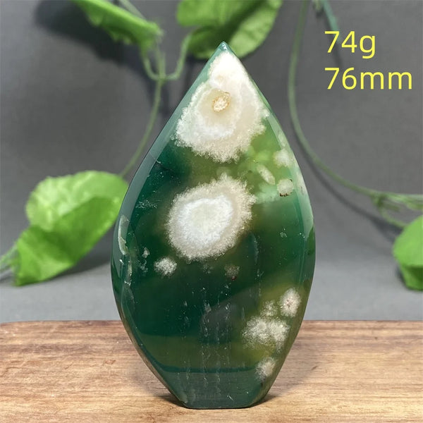 Green Cherry Blossom Agate-ToShay.org