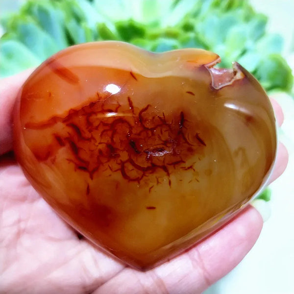 Red Agate Heart-ToShay.org