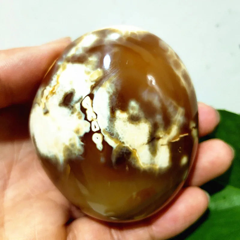 Mixed Lace Sardonyx Agate-ToShay.org