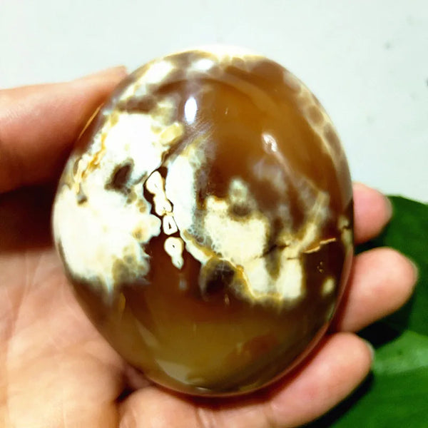 Mixed Lace Sardonyx Agate-ToShay.org