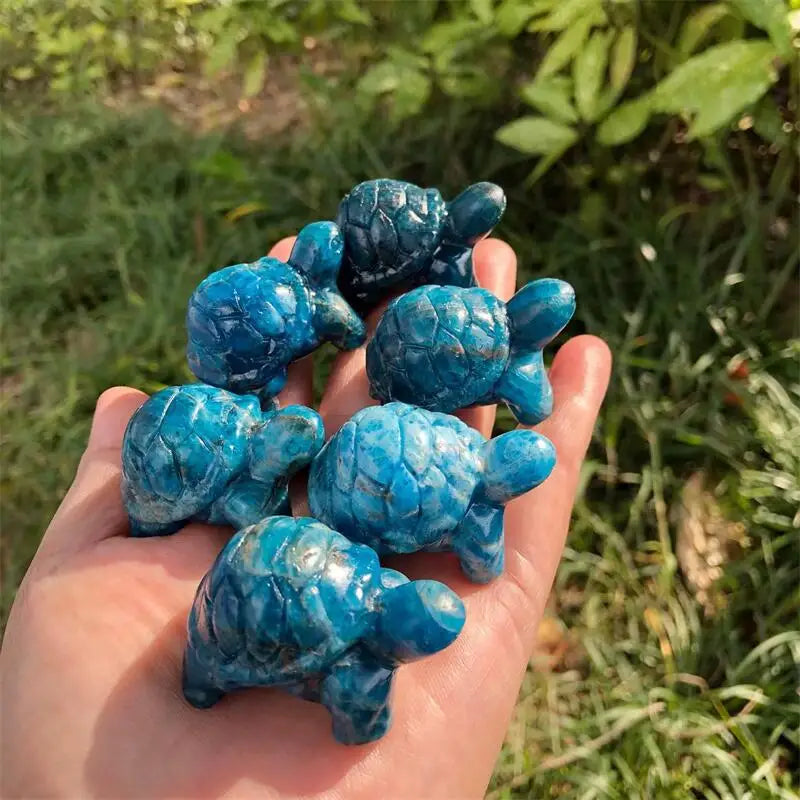Blue Apatite Tortoise-ToShay.org