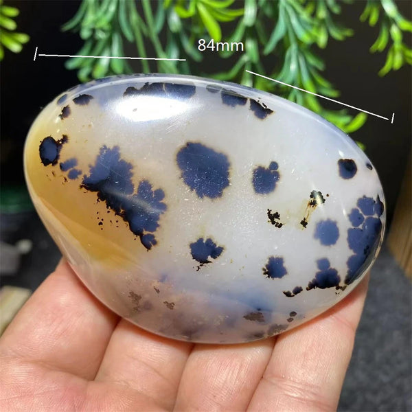 White Ink Moss Tree Agate-ToShay.org