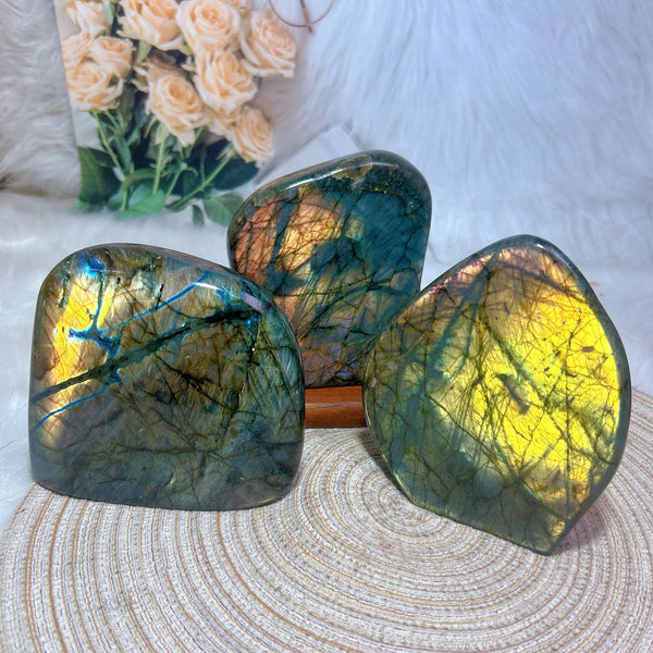 Gold Light Labradorite-ToShay.org