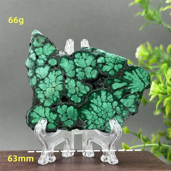 Green Malachite Slice-ToShay.org
