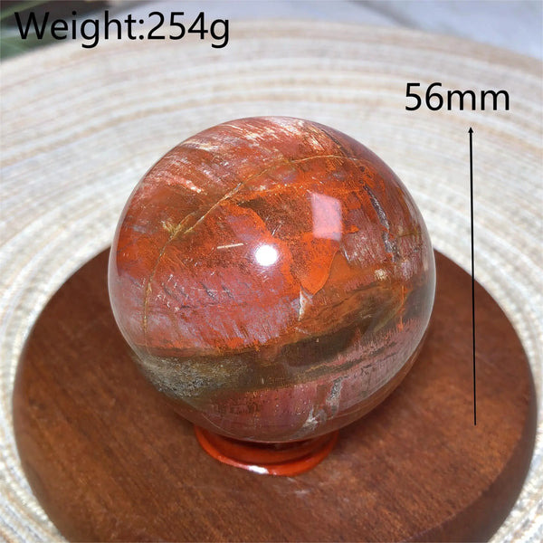 Brown Petrified Wood Ball-ToShay.org