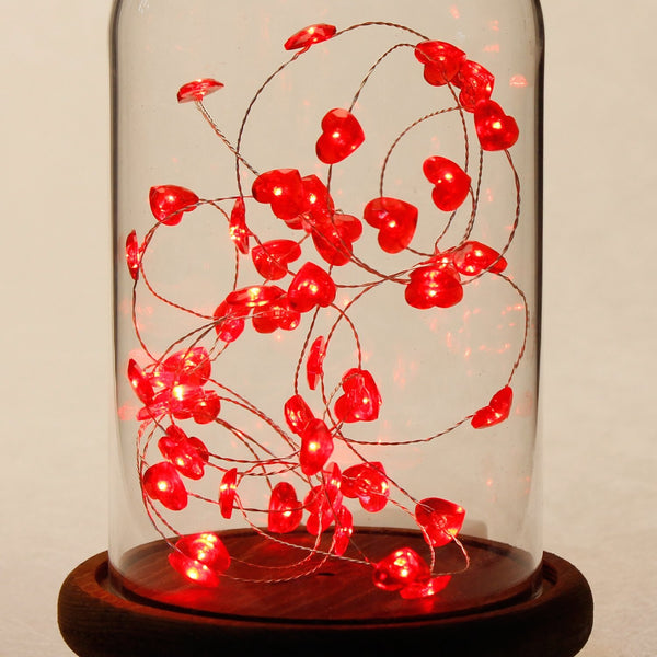 Red Love Heart String Lights-ToShay.org