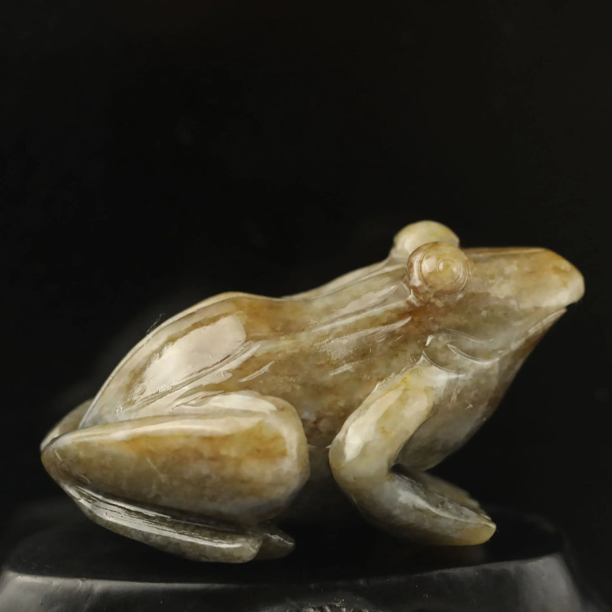 Green Jade Frog-ToShay.org