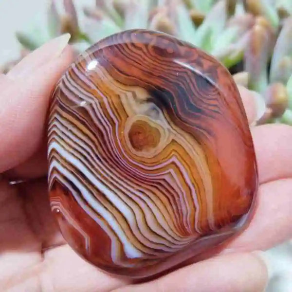 Red Sardonyx Lace Agate-ToShay.org
