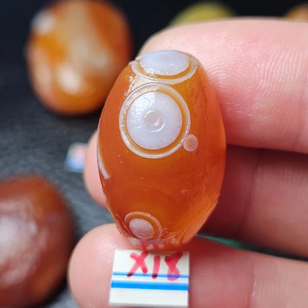 Mixed Gobi Alashan Agate-ToShay.org