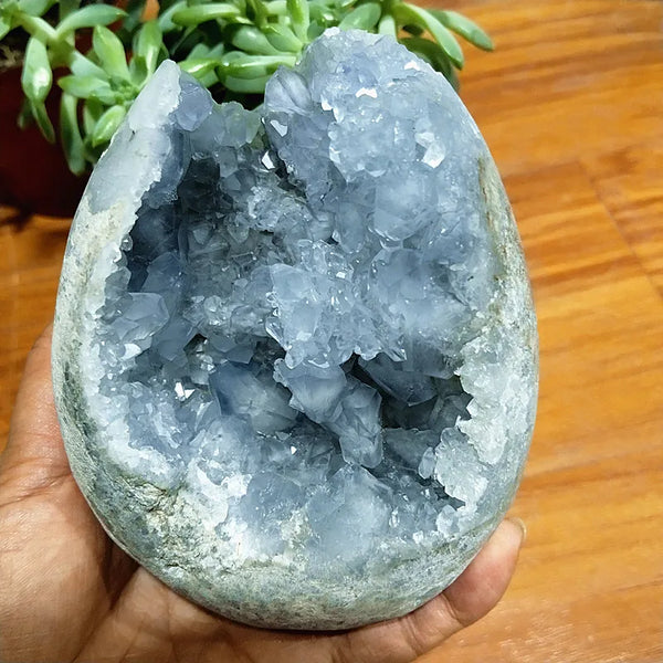 Blue Celestite Geode Crystal-ToShay.org