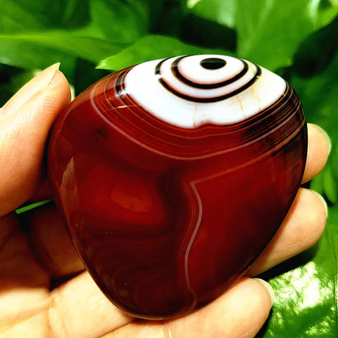 Red Lace Sardonyx Agate-ToShay.org