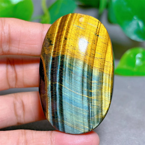 Blue Yellow Tiger Eye-ToShay.org