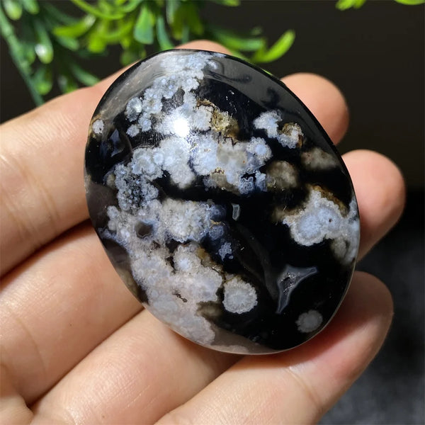Black Flower Agate-ToShay.org
