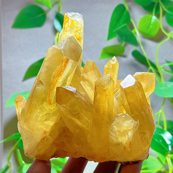 Yellow Citrine Crystal Cluster-ToShay.org