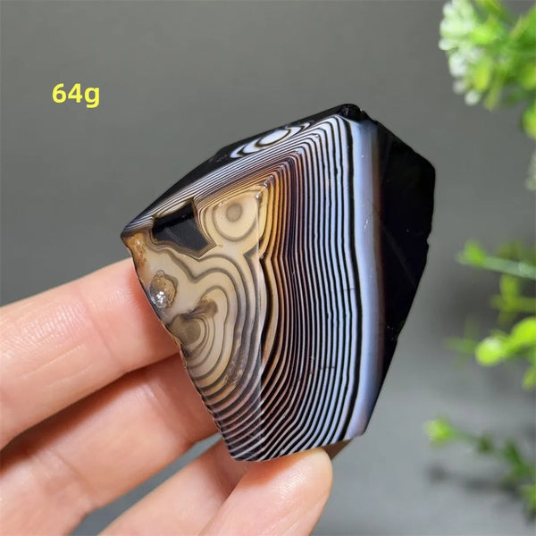 Black Striped Agate-ToShay.org