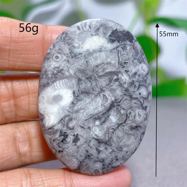 Black White Shellstone-ToShay.org