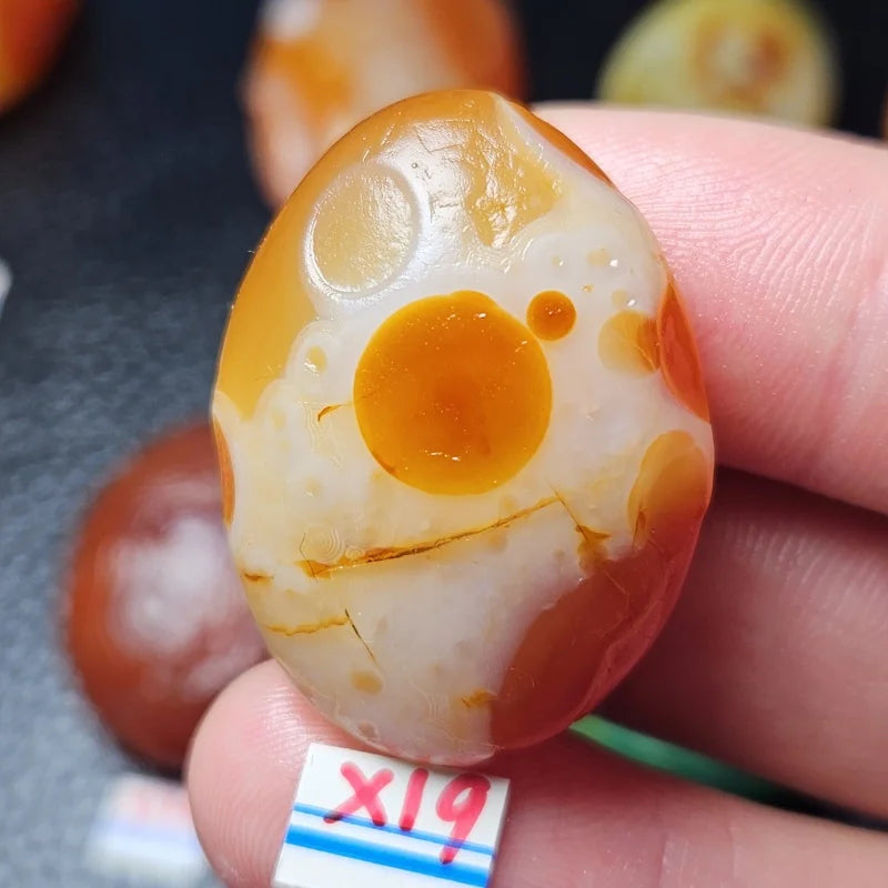 Mixed Gobi Alashan Agate-ToShay.org