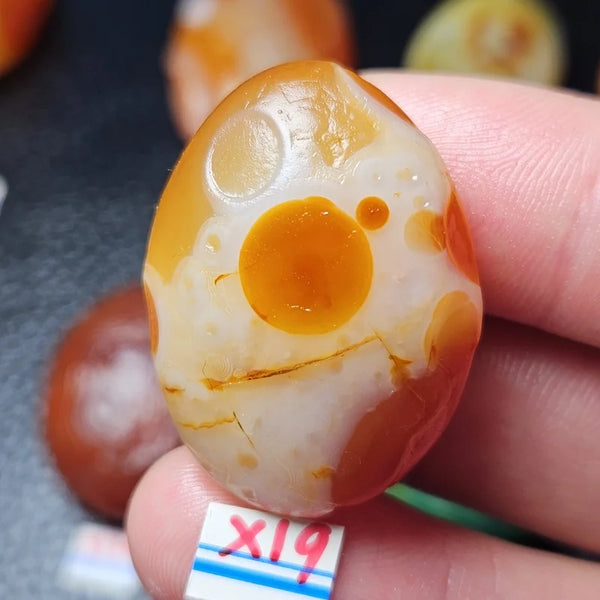 Mixed Gobi Alashan Agate-ToShay.org