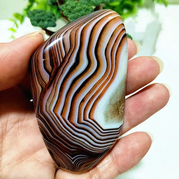Red Lace Sardonyx Agate-ToShay.org