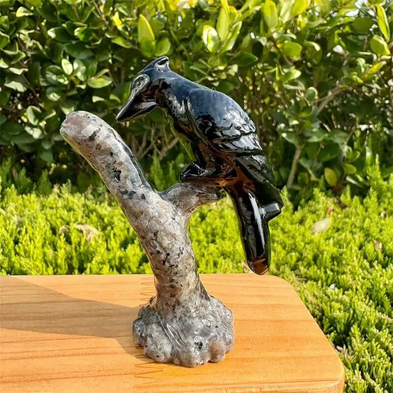 Black Obsidian Woodpecker-ToShay.org