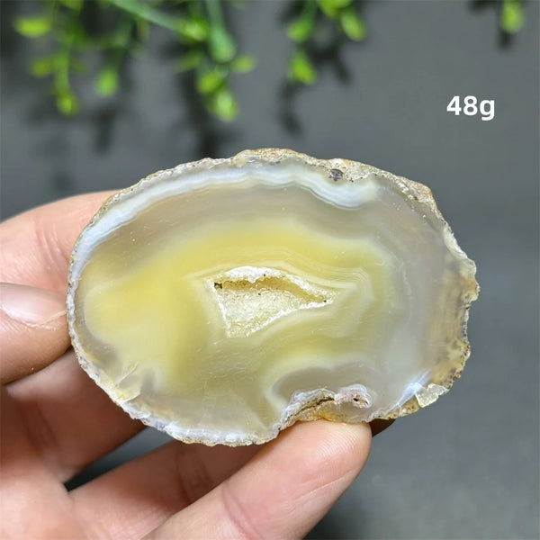 Yellow Agate Slice-ToShay.org