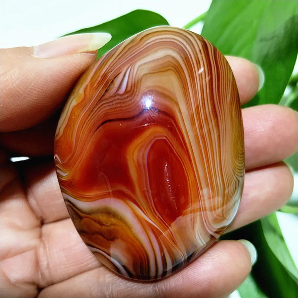 Red Lace Sardonyx Palm Stones-ToShay.org
