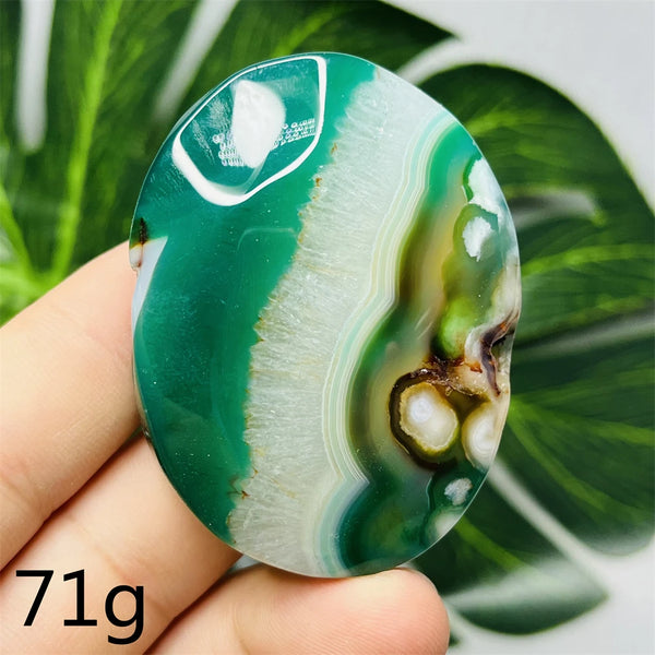 Green Flower Agate Palm Stone-ToShay.org