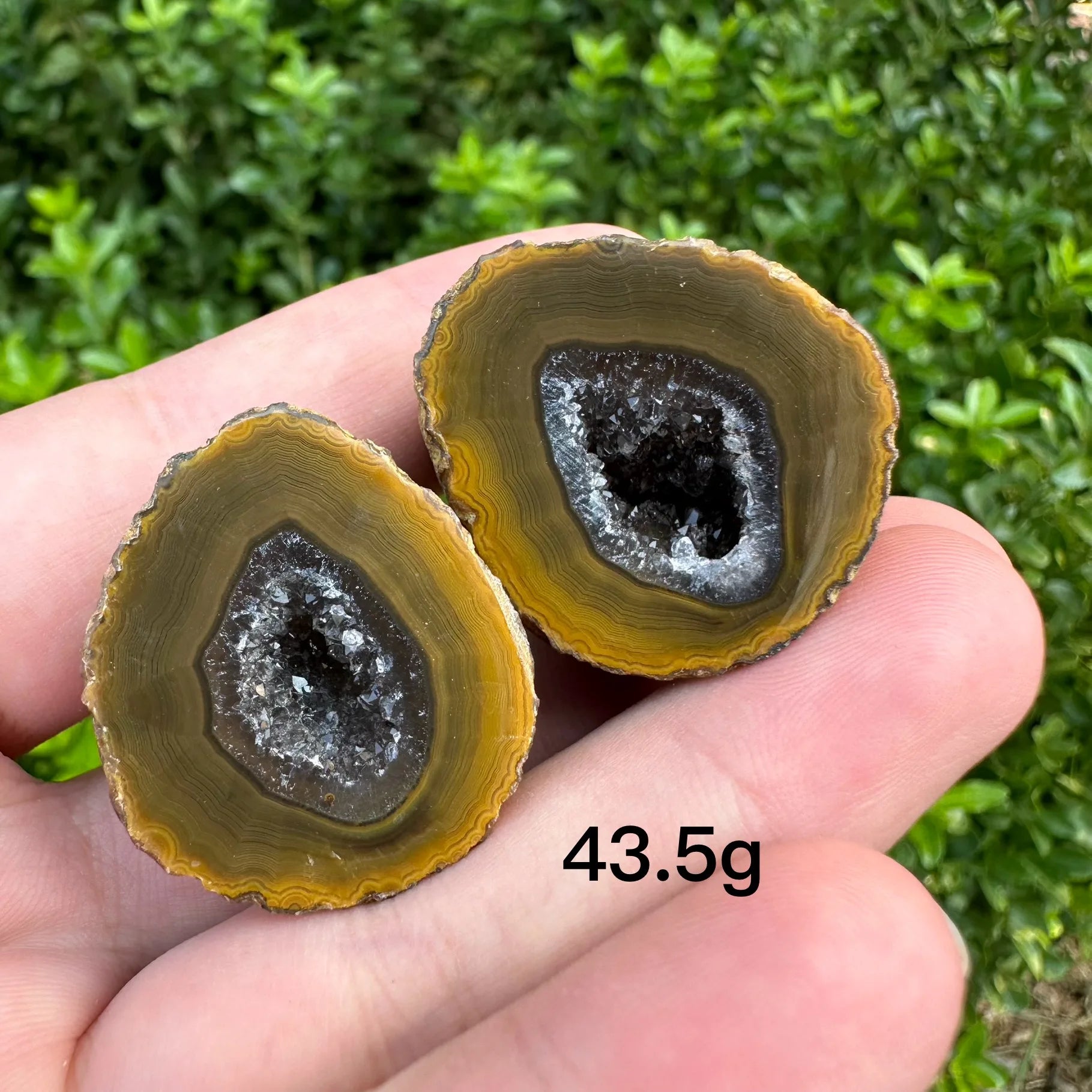 Mixed Agate Crystal Geode-ToShay.org